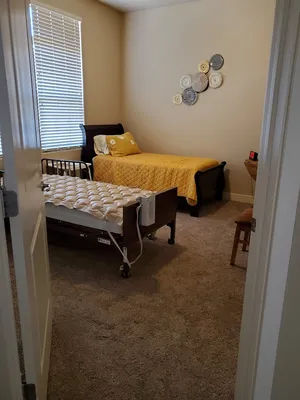 Comfortable bedroom with adjustable care bed